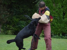 01.07.2023 offenes training 9